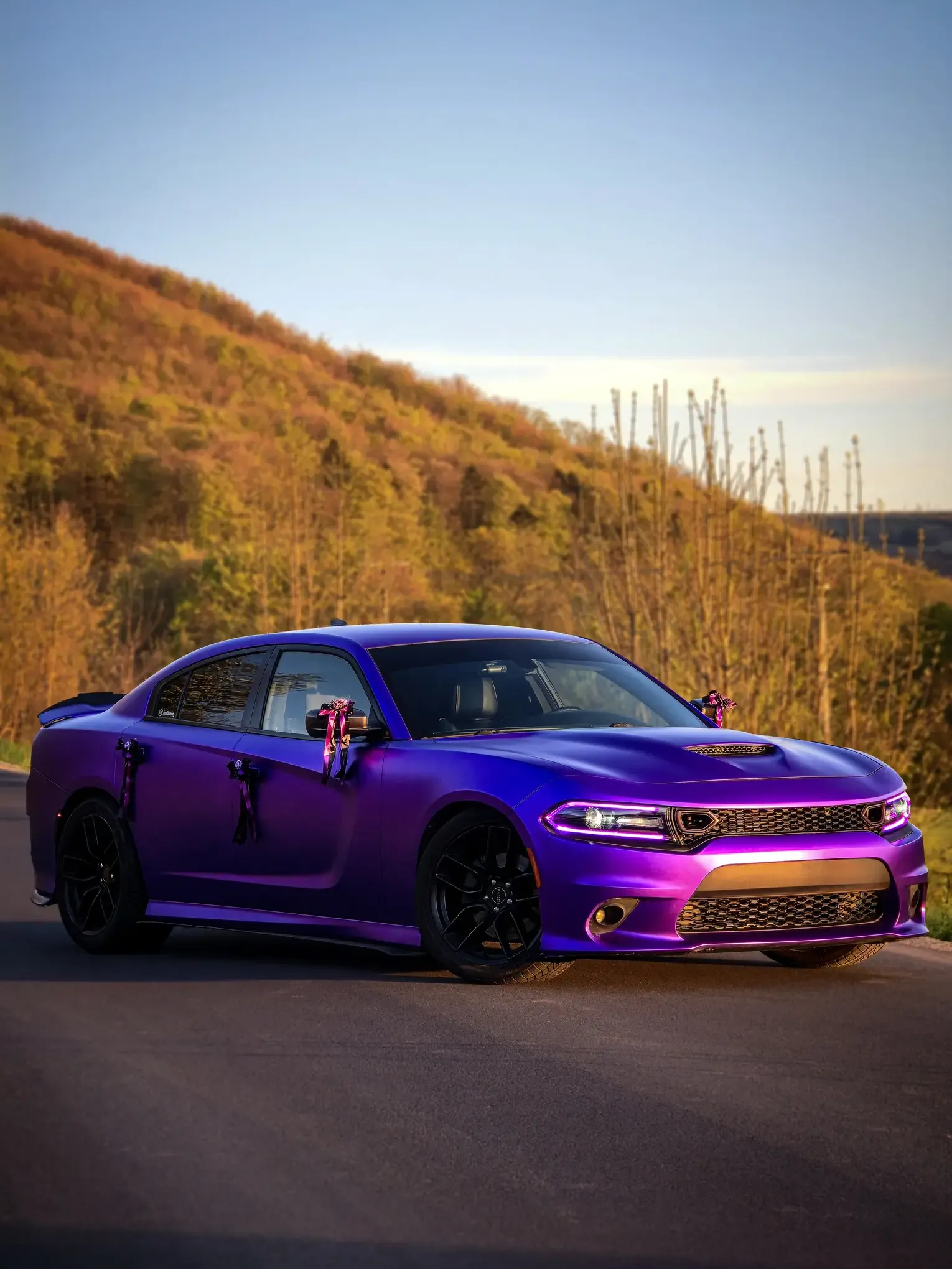 Dodge Charger 5.7 V8 - transport na lotnisko